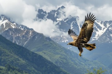 An image of a majestic golden eagle soaring high above the Pyrenees mountains