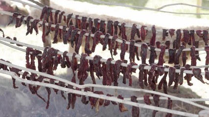 Closeup of dried raw meat hanging on a wooden sticks. Historical reenactment. Rumsiskes, Lithuania- 07 05 2024. 