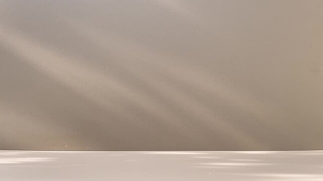 Empty room, Grey Concrete Wall With Leaves Shadow Motion