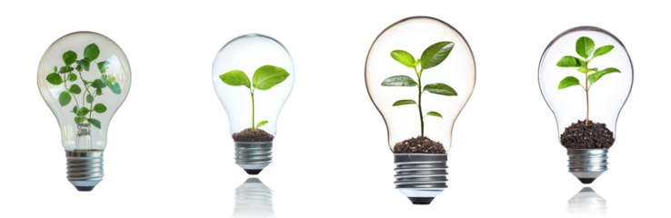 Concept of green energy, lightbulb with a growing plant inside