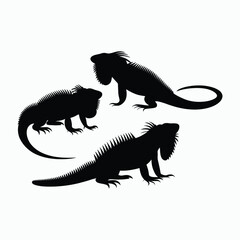 Fototapeta premium Iguana Silhouette Vector Set Animals Illustration Template