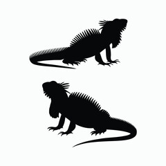 Fototapeta premium Iguana Silhouette Vector Set Animals Illustration Template