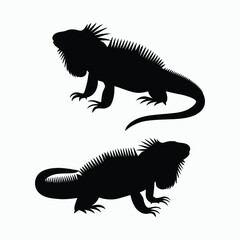 Fototapeta premium Iguana Silhouette Vector Set Animals Illustration Template