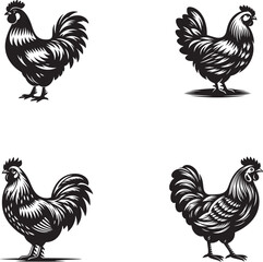 illustration of a rooster