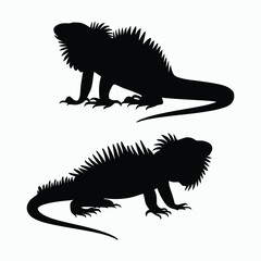 Fototapeta premium Iguana Silhouette Vector Set Animals Illustration Template