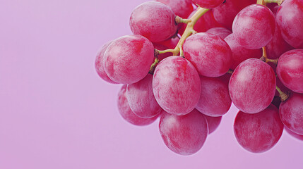 bunch of red grapes isolated in a purple background.