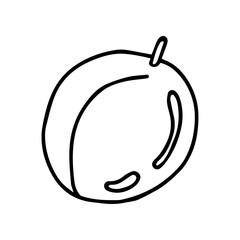 Peach in doodle style, vector illustration