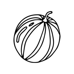 Watermelon doodle style, vector illustration