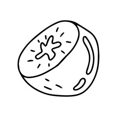 Kiwi doodle style, vector illustration