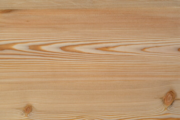 Wood texture of larch, close-up