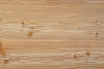 Wood texture of larch, close-up