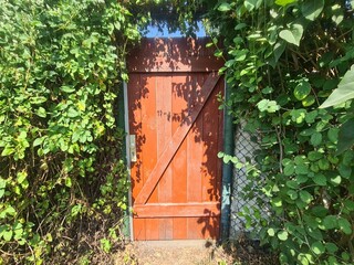 eine Tür mit grünen, umgebenen Blättern