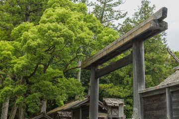Fototapeta premium 日本 三重県伊勢市にある伊勢神宮の外宮の正宮、豊受大神宮