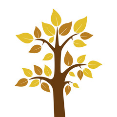Autumn tree with yellow leaves on a white background. Tree vector.
