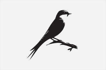 A bird  with white background