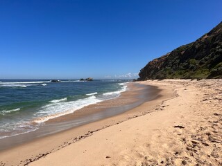 Beach Scenery