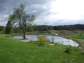 a garden pond saves water