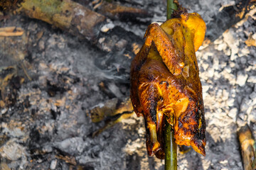 Roasted chicken on fire in camping forest outdoor