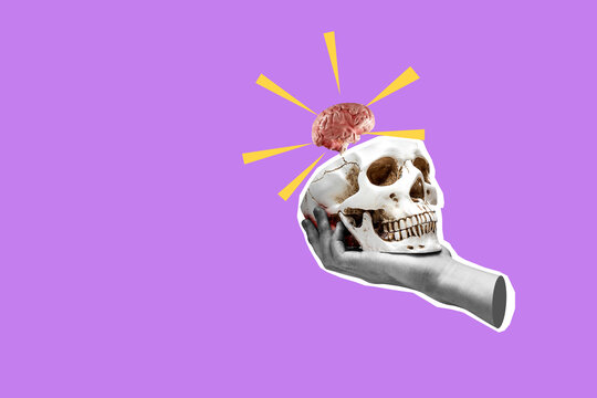 A skull is holding a human skull and a brain
