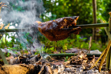 Roasted chicken on fire in camping forest outdoor