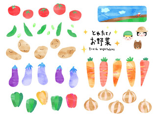 とれたて！お野菜