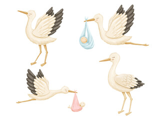 Watercolor stork with newborn baby. Cute hand drawn illustrations set isolated on white background