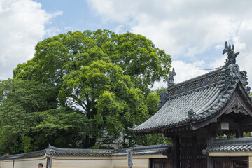 日本　三重県伊勢市のおはらい町の町並み