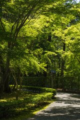 日本　三重県伊勢市にある伊勢神宮の内宮の神苑