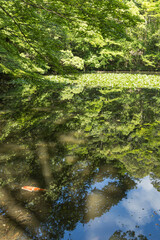 日本　三重県伊勢市にある伊勢神宮の内宮の御池