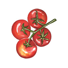 Red small cherry tomatoes on a branch, watercolor png