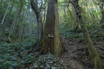 Fototapeta premium 三重県志摩市磯部町にある天の岩戸の猿田彦の祠