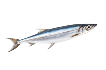 Fototapeta premium anchovys isolated on white