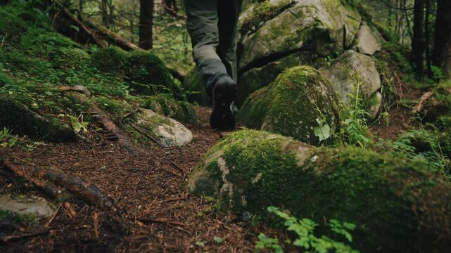 Close up gimbal shot of male hiker walking along path in mountain forest, foot steps among stones covered with green moss. Man in trekking shoes going in woodland. Slow motion steady shot
