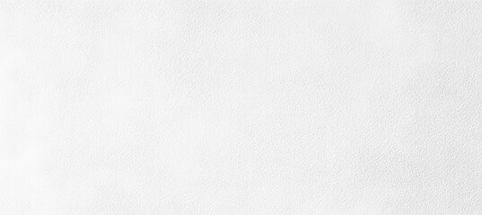 Fototapeta premium Textured White and Gray Minimalist Background
