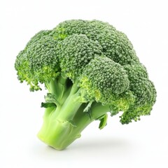 Fresh broccoli isolated on a clean white background for culinary and health-related purposes