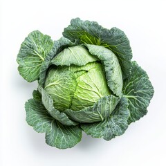 Obraz premium Fresh green cabbage isolated on a clean white background showcasing its vibrant leaves and texture