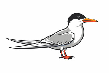  Elegant tern bird goes icon vector art illustration