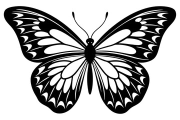 butterfly silhuette vector illustration