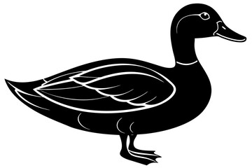 duck isolated silhuette vector illustration