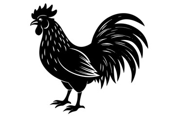rooster  silhuette vector illustration