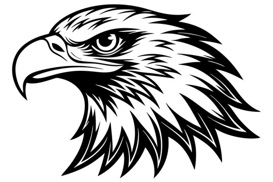 a  egle   head silhuette vector illustration