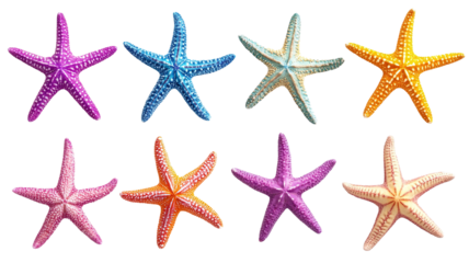 Set of colorful starfish in vivid colors, cut out
