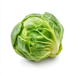 Fototapeta premium Single Brussels sprout isolated on a white background showcasing its fresh green appearance