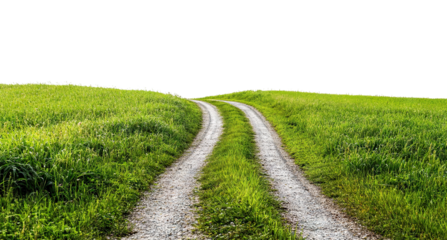 Countryside road in lush grassy landscape, cut out