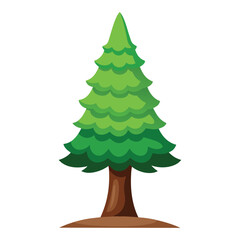 Illustration of Cypress tree isolated on white