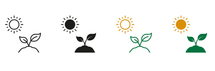 Sun and Plant, Tree Growth Line and Silhouette Icon Set. Organic Leaf, Environmental Agriculture Pictogram. Eco Friendly Plant Symbol. Gardening Sign. Editable Stroke. Isolated Vector Illustration