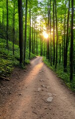 Fototapeta premium A serene forest path illuminated by sunset, surrounded by vibrant green trees, inviting exploration and tranquility.