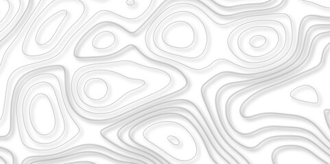 The Evolution of Vector Mapping Through the Lens of Topography and Topology: Enhancing Background Complexity and Cartographic Accuracy