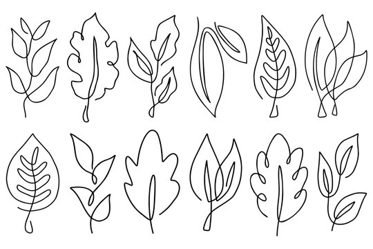 Line art leaves set with single line. Outline different leaves collection, drawn with one continuous thin line.