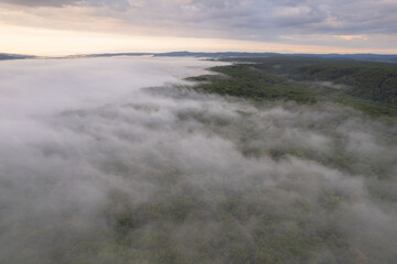 Aerial scene above the forest on Via Transilvanica. Foggy landscape above the green oak trees	
